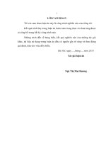 NGÔ THỊ MAI HƯƠNG     NGHIÊN CỨU KHU HỆ CÁ CÁC LƯU VỰC  SÔNG ĐÁY VÀ SÔNG BÔI