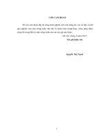 LUẬN VĂN THẠC SĨ KHOA HỌC GIÁO DỤC XÂY DỰNG VÀ TỔ CHỨC DẠY HỌC CHỦ ĐỀ TÍCH HỢP MẮT NHẰM PHÁT TRIỂN NĂNG LỰC GIẢI QUYẾT  VẤN ĐỀ THỰC TIỄN CỦA HỌC SINH THCS