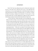 Hoàn thiện kế toán bán hàng tại trung tâm xuất nhập khẩu và hợp tác đầu tư   VVMI 