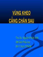 VÙNG KHEO CẲNG CHÂN SAU, ĐẠI HỌC Y DƯỢC TP HỒ CHÍ MINH