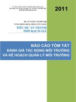 BÁO CÁO TÓM TẮT ĐÁNH GIÁ TÁC ĐỘNG MÔI TRƯỜNG VÀ KẾ HOẠCH QUẢN LÝ MÔI TRƯỜNG