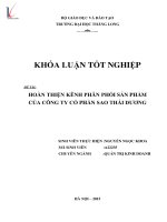 Hoàn thiện kênh phân phối sản phẩm của công ty cổ phần sao thái dương 