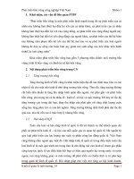 Thực trạng về vấn đề phát triển bền vững trong CN ở việt nam 