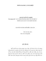 “LỰA CHỌN PHƯƠNG PHÁP XẺ GỖ HỢP LÝ    TRONG SẢN XUẤT VÁN GHÉP THANH