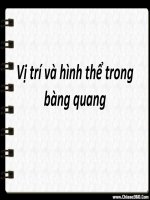 vị trí và hình thể trong bàng quang