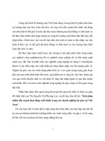 Giải pháp nhằm đẩy mạnh hoạt động xuất khẩu trong các doanh nghiệp da giày tại việt nam 