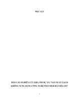 SẢN XUẤT GẠCH KHÔNG NUNG BẰNG CÔNG NGHỆ POLYMER đất hóa đá 