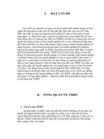 Những điều kiện phát triển thương mại điện tử ở việt nam 