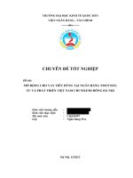 CD_Mở rộng cho vay tiêu dùng tại Ngân hàng TMCP Đầu tư và Phát triển Việt Nam chi nhánh Đông Hà Nội