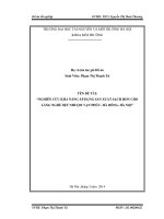 NGHIÊN CỨU KHẢ NĂNG ÁP DỤNG SẢN XUẤT SẠCH HƠN CHO LÀNG NGHỀ DỆT NHUỘM VẠN PHÚC- HÀ ĐÔNG- HÀ NỘI