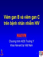 Viêm gan B và viêm gan C trên bệnh nhân nhiễm HIV