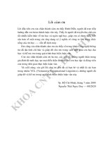 nghiên cứu Xây dựng chương trình bắt lỗi tả tiếng Việt nhằm phát đề nghị từ thay cho lỗi tả thường gặp