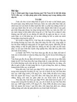 Thực trạng thương mại việt nam kể từ khi hội nhập WTO đến nay và biện pháp phát triển thương mại trong những năm sắp tới 