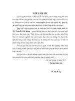 KIỂU NHÂN VẬT NGƯỜI VỢ THÔNG MINH  TÀI TRÍ TRONG TRUYỆN CỔ TÍCH CỦA MỘT SỐ TỘC NGƯỜI MIỀN BẮC VIỆT NAM      LUẬN VĂN THẠC SĨ KHOA HỌC NGỮ VĂN