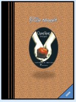 Tiểu thuyết Chạng Vạng