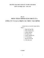 Tiểu luận phân tích chính sách thuế của công ty và lựa chọn cấu trúc tài chính 