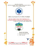 CHIẾN LƯỢC TĂNG THỊ PHẦN CỦA “TẬP ĐOÀN HOÀNG ANH GIA LAI” TẠI VIỆT NAM