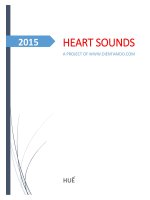 HEART SOUNDS A PROJECT OF WWW.DIENTAMDO.COM
