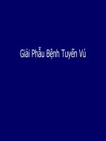 Giải Phẫu Bệnh Tuyến Vú
