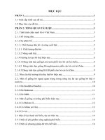 Thực trạng và giải pháp trong chăn nuôi bò thịt trang trại tại xã hương bình huyện hương trà tỉnh thừa thiên huế 