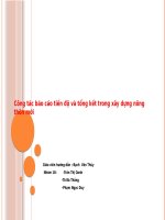 Công tác báo cáo tiến độ và tổng kết trong xây dựng nông thôn mới