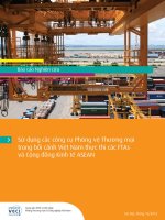 Báo cáo nghiên cứu sử dụng các công cụ phòng vệ thương mại trong bối cảnh việt nam thực thi các FTAs và cộng đồng kinh tế Asean