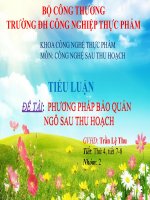 PHƯƠNG PHÁP BẢO QUẢN    NGÔ SAU THU HOẠCH