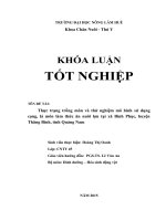 Thực trạng trồng môn và thử nghiệm mô hình sử dụng cọng, lá môn làm thức ăn nuôi lợn tại xã bình phục, huyện thăng bình, tỉnh quảng nam 