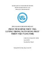 Phân tích hình thức trả lương trong ngân hàng phát triển việt nam (VDB)
