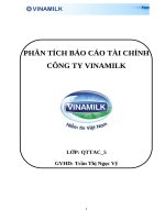 PHÂN TÍCH BÁO CÁO TÀI CHÍNH CÔNG TY VINAMILK
