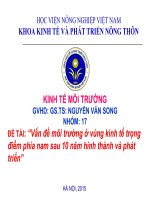 ĐỀ TÀI: “Vấn đề môi trường ở vùng kinh tế trọng điểm phía nam sau 10 năm hình thành và phát triển