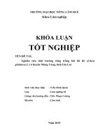 Nghiên cứu sinh trưởng rừng trồng bời lời đỏ (litsea glutinosa l ) ở huyện mang yang, tỉnh gia lai 
