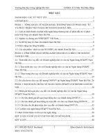 Phân tích TÌNH HÌNH HOẠT ĐỘNG KINH DOANH CỦA BIDV CHI NHÁNH NAM HÀ NỘI