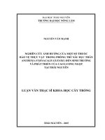 Nghiên cứu ảnh hưởng của một số thuốc bảo vệ thực vật trong phòng trừ sâu đục thân đến sinh trưởng và phát triển của cao lương ngọt tại thái nguyên 