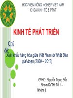 tiểu luận kinh tế phát trienr Xuất khẩu hàng hóa giữa Việt Nam với Nhật Bản giai đoạn (2009 – 2013)