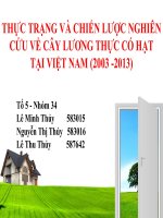 tiểu luận môn kinh tế phát triển THỰC TRẠNG VÀ CHIẾN LƯỢC NGHIÊN CỨU VỀ CÂY LƯƠNG THỰC CÓ HẠT TẠI VIỆT NAM (2003 -2013)