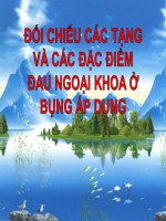 ĐỐI CHIẾU CÁC TẠNG VÀ CÁC ĐẶC ĐIỂM ĐAU NGOẠI KHOA Ở BỤNG ÁP DỤNG