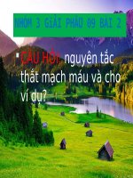 NHÓM 3 GiẢI PHẪU 09 BÀI 2 -CÂU HỎI: nguyên tắc thắt mạch máu và cho ví dụ
