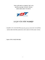 Nghiên Cứu Nuôi Dưỡng SPIRULINA PLATENSIS Quang Tự Dưỡng Bằng Môi Trường Khoáng Chứa Dịch Tương Đậu Nành