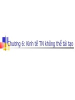 Chương 6_Kinh tế tài nguyên không thể tái tạo