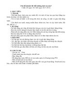 Giáo án cho trẻ tìm hiểu về các loài rau xanh