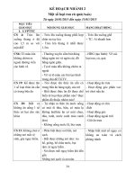 Giáo án mầm non kế hoạch nhánh 2 một số loại rau củ quả