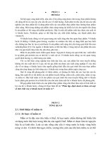 Phân lập, định danh và khảo sát một số tính chất của vi khuẩn lactic từ mắm rò 