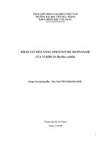 Khảo Sát Khả Năng Sinh Enzyme Mannanase Của Vi Khuẩn Bacillus Subtilis