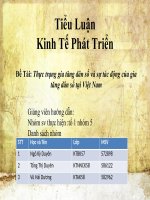 tiểu luận kinh tế phát triển Thực trạng gia tăng dân số và sự tác động của gia tăng dân số tại Việt Nam