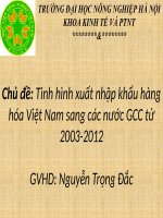 tiểu luận kinh tế phát triển Tình hình xuất nhập khẩu hàng hóa Việt Nam sang các nước GCC từ 2003-2012
