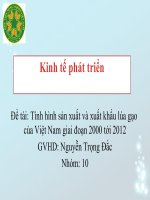 tiểu luận kinh tế phát triển Tình hình sản xuất và xuất khẩu lúa gạo  của Việt Nam giai đoạn 2000 tới 2012