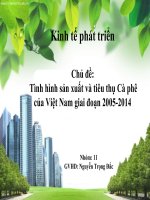 tiểu luận kinh tế phát triển Tình hình sản xuất và tiêu thụ Cà phê của Việt Nam giai đoạn 2005-2014