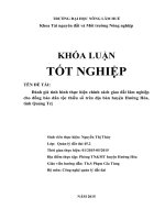 Đánh giá tình hình thực hiện chính sách giao đất lâm nghiệp cho đồng bào dân tộc thiểu số trên địa bàn huyện hướng hóa, tỉnh quảng trị 