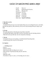 Giáo án khám phá khoa học trò chuyện về một số loài hoa